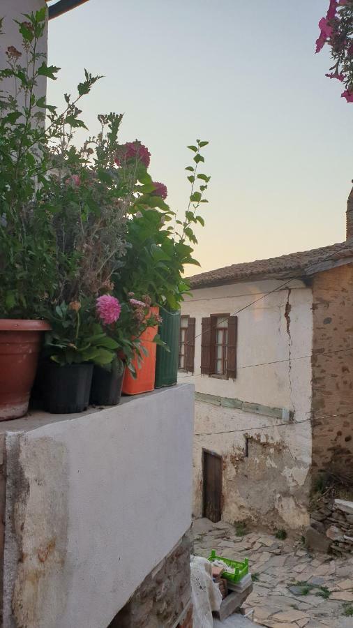Sirin Ev Pansiyon Selçuk Exterior foto